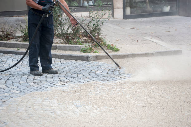 Best Residential House Exterior Washing  in Fair Oaks, CA